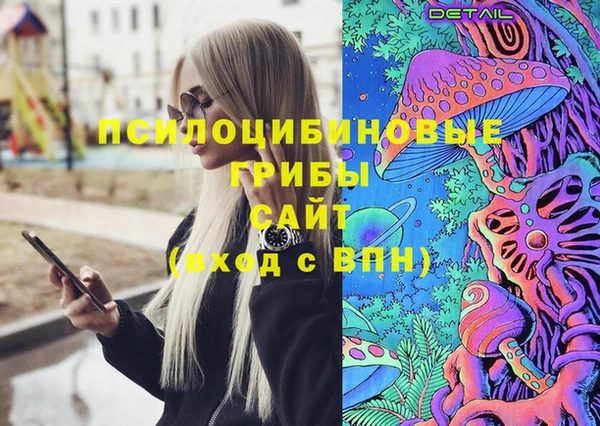 шишки Богданович